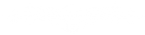 logo blanc 03 300x74 2.png