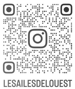 qr code instagram.jpg